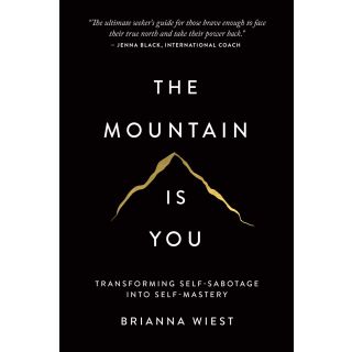 The Mountain Is You: Transforming Self-Sabotage Into Self-Mastery