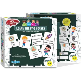 learn the 5 senses