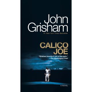 Calico Joe: A Novel
