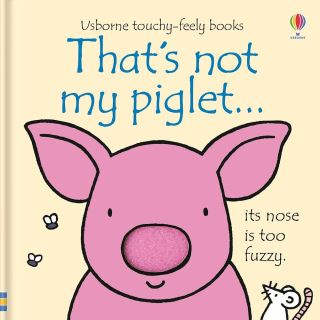 Usborne touchy feely books: that’s not my iglet