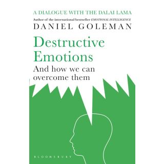 Destructive Emotions