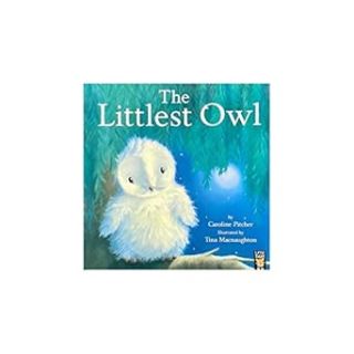 My First Bedtime Children's Library:the littlest owl