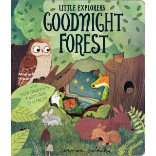Goodnight Forest (Little Explorers)
