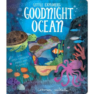 Goodnight Ocean (Little Explorers)