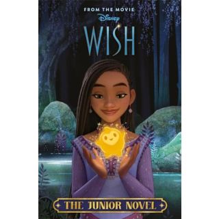Disney Wish: The Junior Novel
